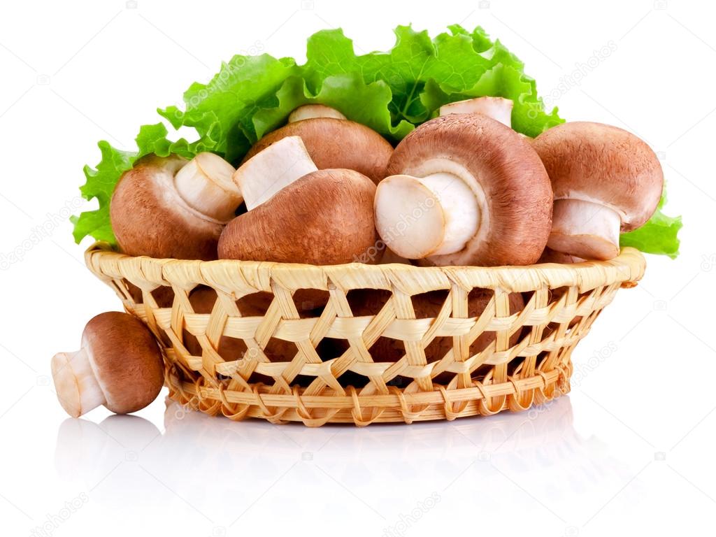 Fresh field mushroom in basket and Leaves of green salad Isolate