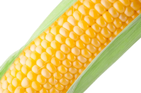 Kukorica a cob a zöld levelek közelről a fehér háttér — Stock Fotó