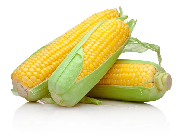 Three corn cob isolated on a white background — Stock Photo, Image