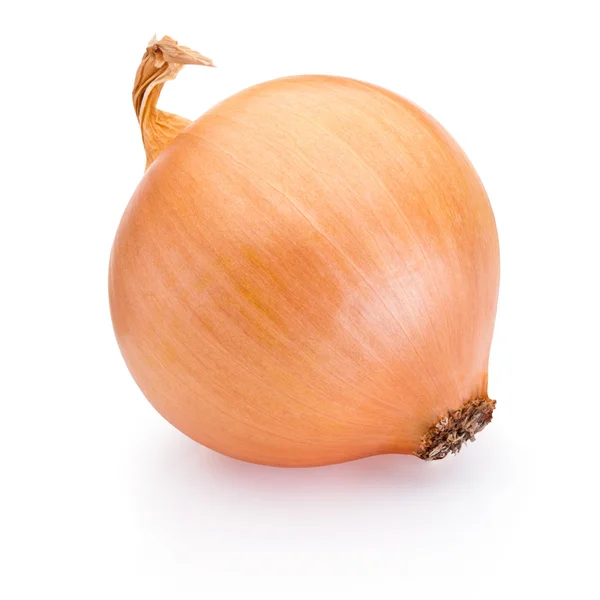 Ripe onion isolated on white background — Stock Photo, Image