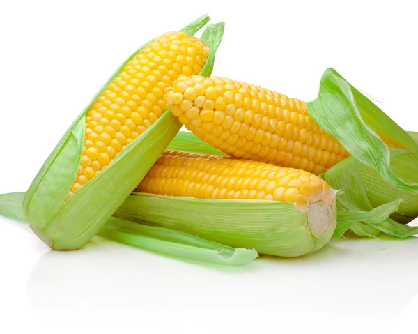 Três espiga de milho isolado no fundo branco — Fotografia de Stock