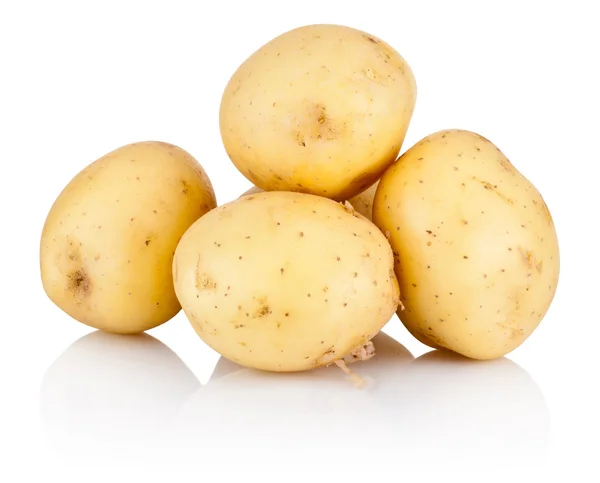 Neue Kartoffel isoliert auf weißem Hintergrund — Stockfoto