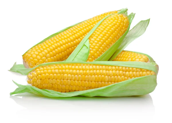 Świeża kolba kukurydzy izolowana na białym tle — Zdjęcie stockowe