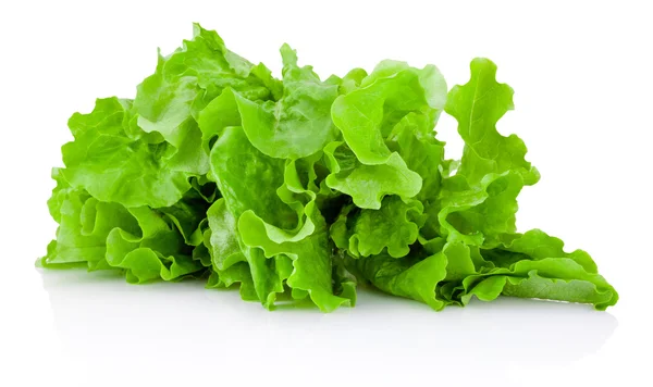 Fresh green lettuce isolated on a white background — Stock Photo, Image