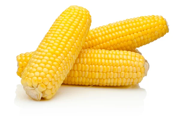 Corn on the cob kernels peeled isolated on a white background — Stock Photo, Image