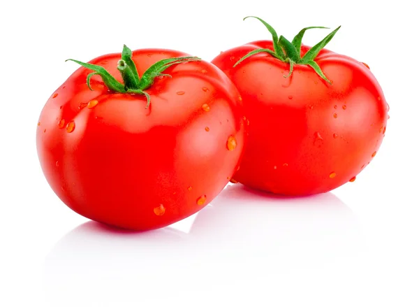 Dos tomates rojos húmedos aislados sobre fondo blanco — Foto de Stock