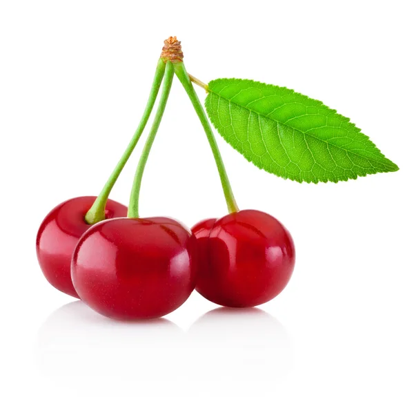 Three ripe cherries with leaf isolated on white background — Stock Photo, Image