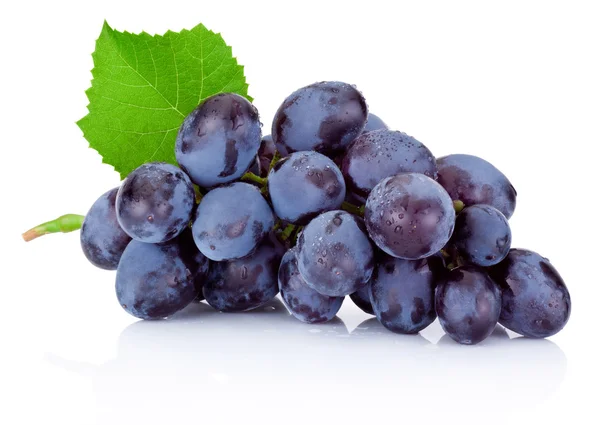 Fresh wet blue grapes with green leaf isolated on white backgrou — Stock Photo, Image