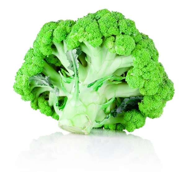Brócolos verdes frescos isolados sobre fundo branco — Fotografia de Stock