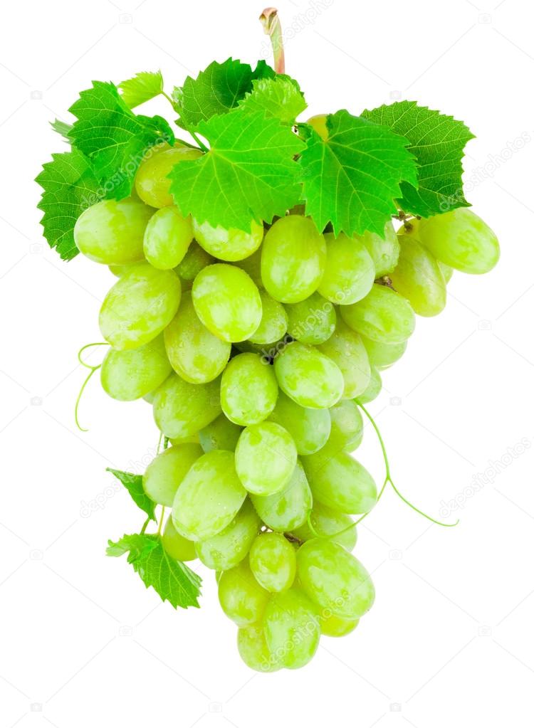 Fresh bunch of green grapes isolated on white background