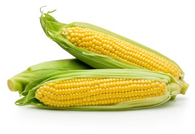 Beyaz arka planda üç mısır tanesi izole edilmiş.