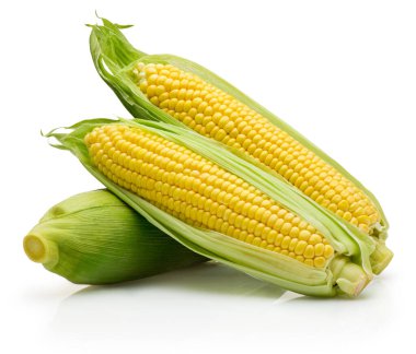 Beyaz arka planda üç mısır tanesi izole edilmiş.
