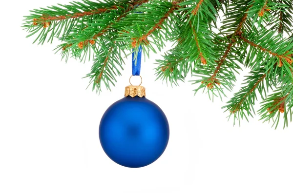 Christmas blue ball hanging on a fir tree branch Isolated on whi — Stock Photo, Image