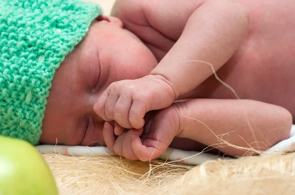Maçã recém-nascido — Fotografia de Stock