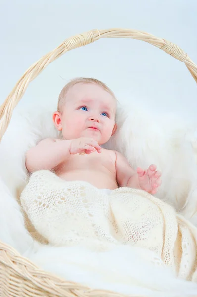 The kid in a basket — Stock Photo, Image