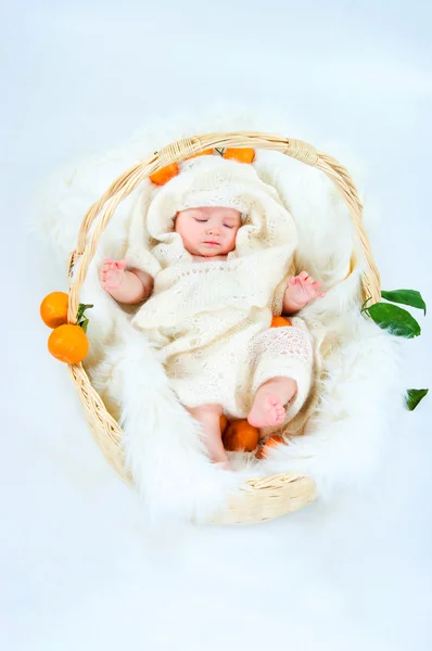 The kid in a basket — Stock Photo, Image