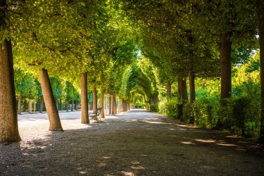 Park, Viyana, Avusturya