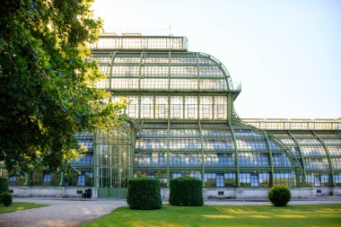 Orangery Viyana'da parkta