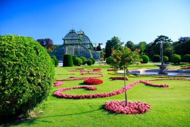 Orangery Viyana'da parkta