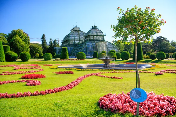 Orangery Viyana'da parkta
