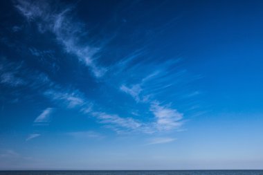 Denizin kenarında Lehçe yaz