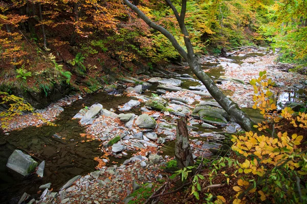 Bieszczady montanhas floresta Imagens Royalty-Free