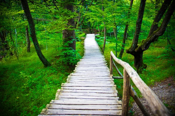 Plitvice lakes park — Stock Photo, Image