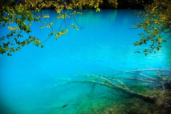 Transparant water in de meren van Plitvice — Stockfoto