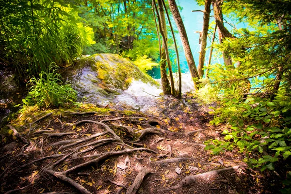 Plitvice lagos parque — Fotografia de Stock