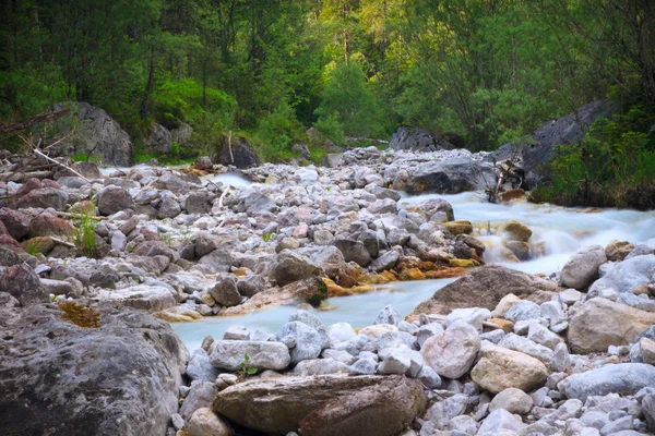 Rivière de montagne — Photo