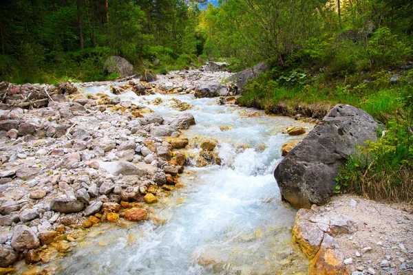 Bergrivier — Stockfoto