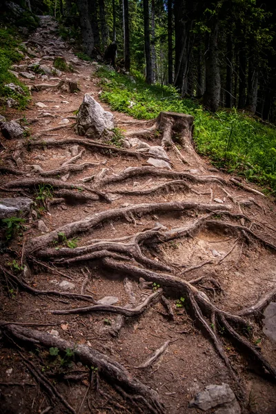 Camino de montaña — Foto de Stock