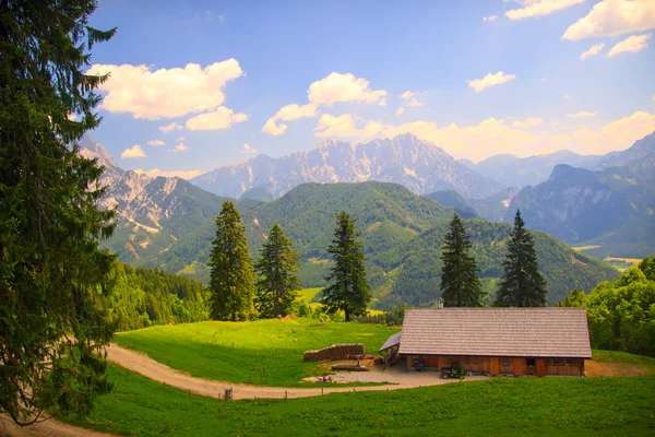 Mountain road — Stock Photo, Image