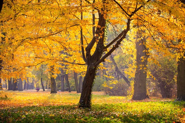 Parque de Varsóvia no outono — Fotografia de Stock