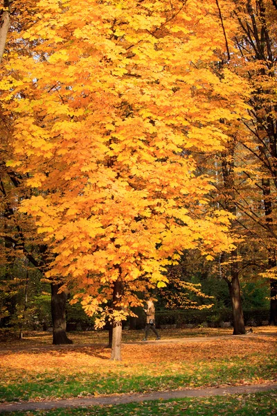 Parque Varsovia en otoño —  Fotos de Stock