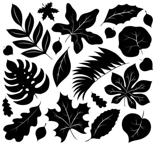 Feuilles silhouettes collection 1 — Image vectorielle