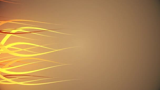 lignes organiques ondulées colorées 