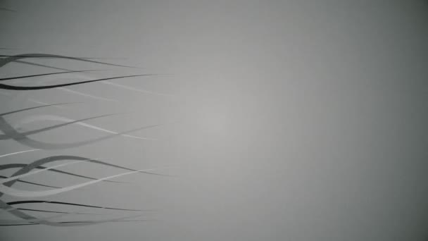 lignes organiques ondulées colorées 