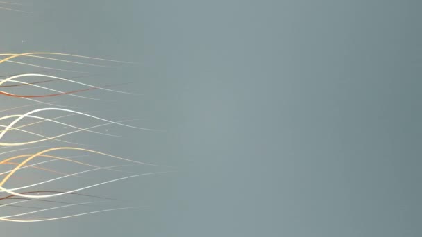 lignes organiques ondulées colorées 