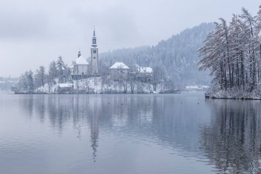 Kışın akan göl, Slovenya 'da kar ve sisli Bled Adası manzarası.
