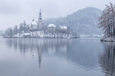 Kışın akan göl, Slovenya 'da kar ve sisli Bled Adası manzarası.