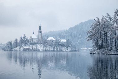 Kışın akan göl, Slovenya 'da kar ve sisli Bled Adası manzarası.