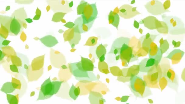 Rotating yellow and green leaves — Stock Video