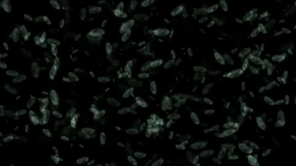 Movimiento de microbios o bacterias — Vídeo de stock