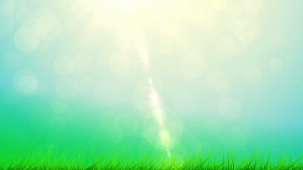 Herbe verte printemps 