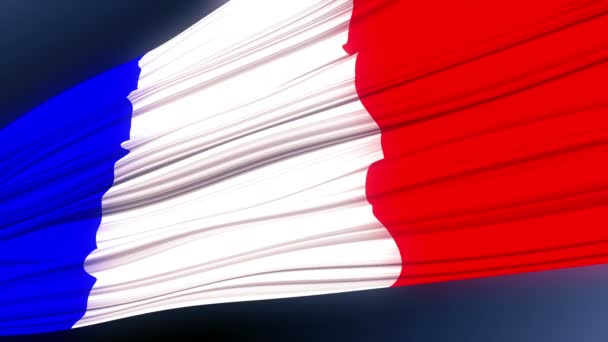 French National Flag, Profile Of Joan Of Arc — Stock Video