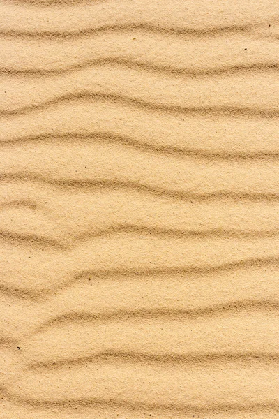Hintergrund des Sand der Sinai-Wüste — Stockfoto