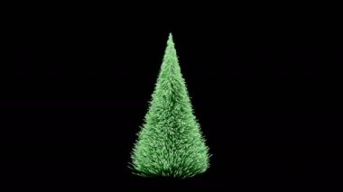 büyüyen ve pırıltılar döngü 4 k ile yeşil bir Noel ağacı döndürme
