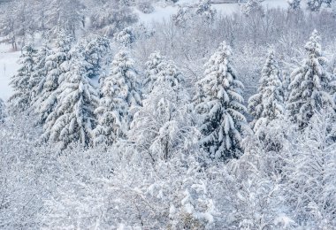 Parkta kış manzarası