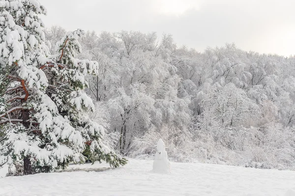 Paisaje invernal en un parque — Foto de Stock